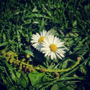 Ingrid Bolsø Berdal Instagram - Thank you, Earth, for catching me ❤
#grounding