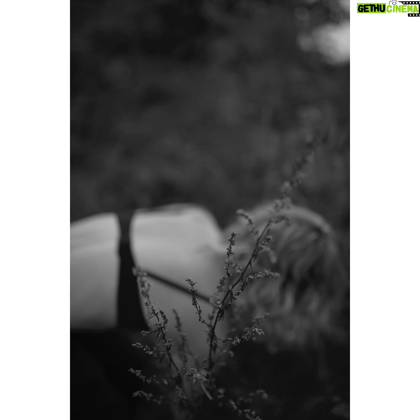 Ingrid St-Pierre - 456 Likes - Je voulais vous dire merci. Ça m’a fait plaisir de lire vos mots doux pour la sortie de ma petite fougère des bois. L’Onoclée vous appartient maintenant. Le reste de l’album va se frayer un chemin vers vous un 24 février. J’ai hâte qu’il habite vos maisons. Je garde vos beaux messages au chaud des jours en attendant. M’ennuie de vous. Vraiment beaucoup.
Crédits photos 🧚🏻♂️
Direction photo et stylisme @olivia_leblanc
Photos @shaynelaverdiere
assisté par @aljosaa
Hair and make up @genevievelenneville @folioartists
Coupe et couleur @marcuuus
@simonerecords