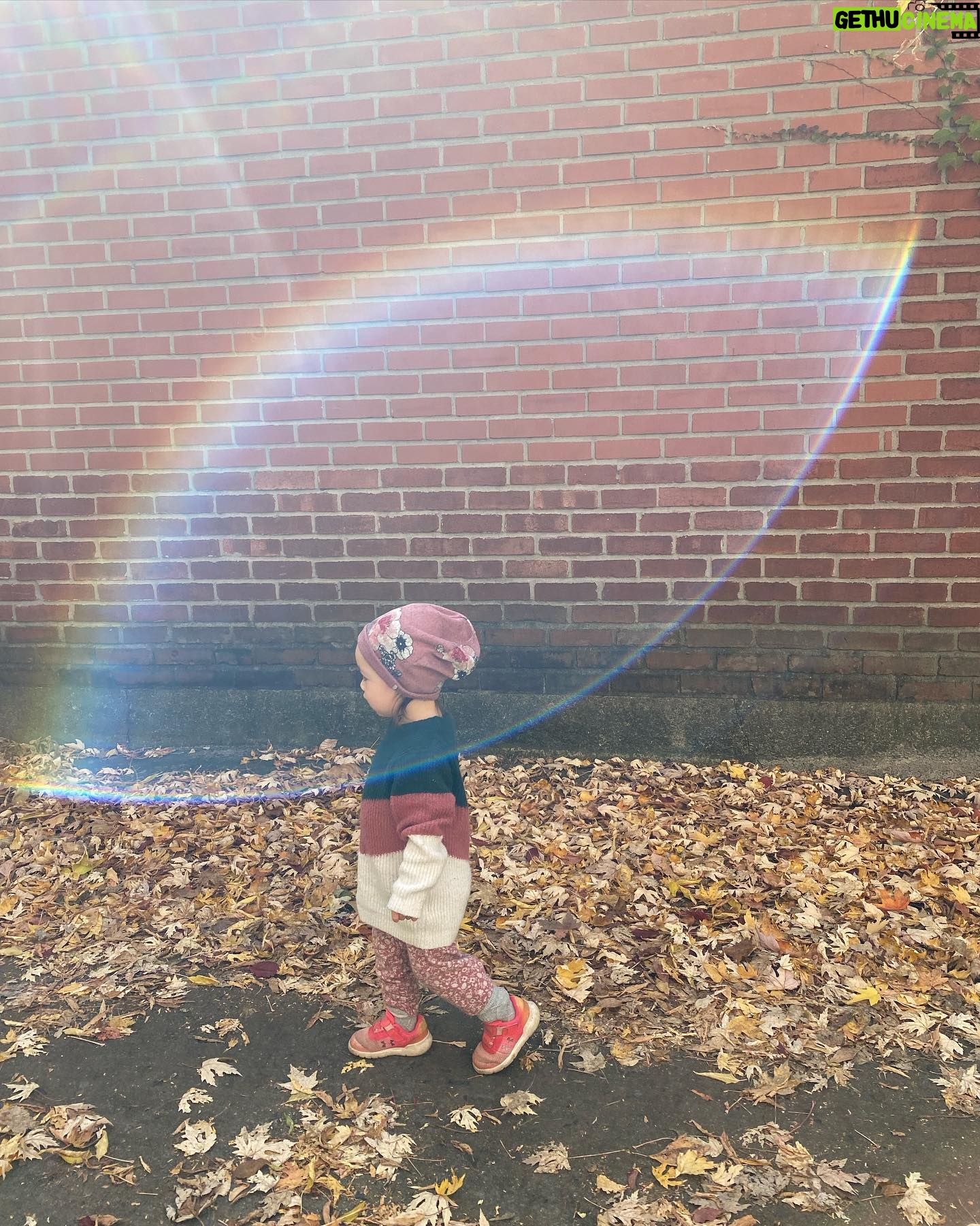 Ingrid St-Pierre - 451 Likes - Namiko les halos ✨🧚🏻♀️