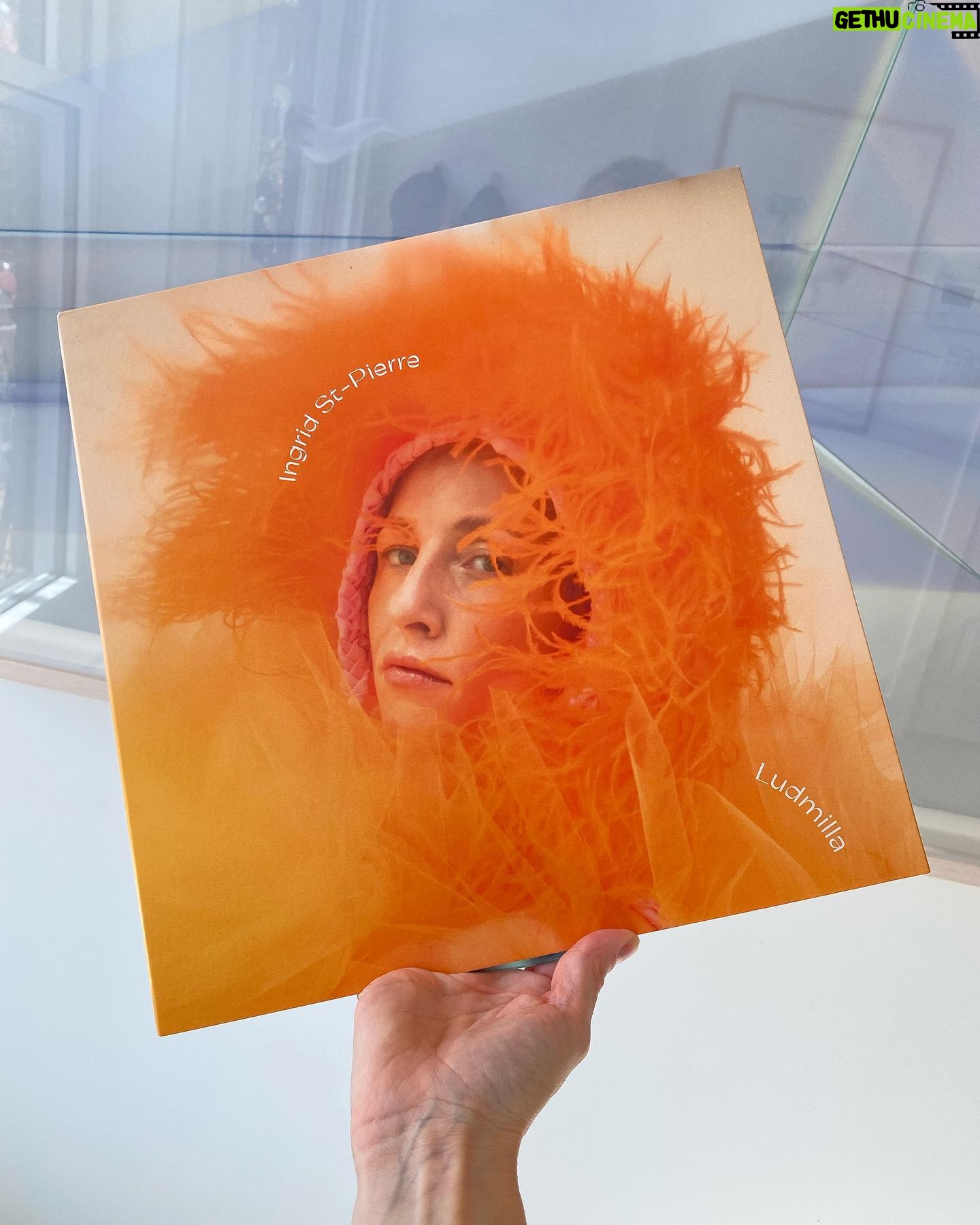 Ingrid St-Pierre - 360 Likes - Je le croquerais genre. On dirait un petit jujube.🍋🍊🍑🧡Ce joli vinyle de Ludmilla agencé au ciel est enfin dispo les amis.
Dispo ici; https://ingridstpierre.bandcamp.com/album/ludmilla