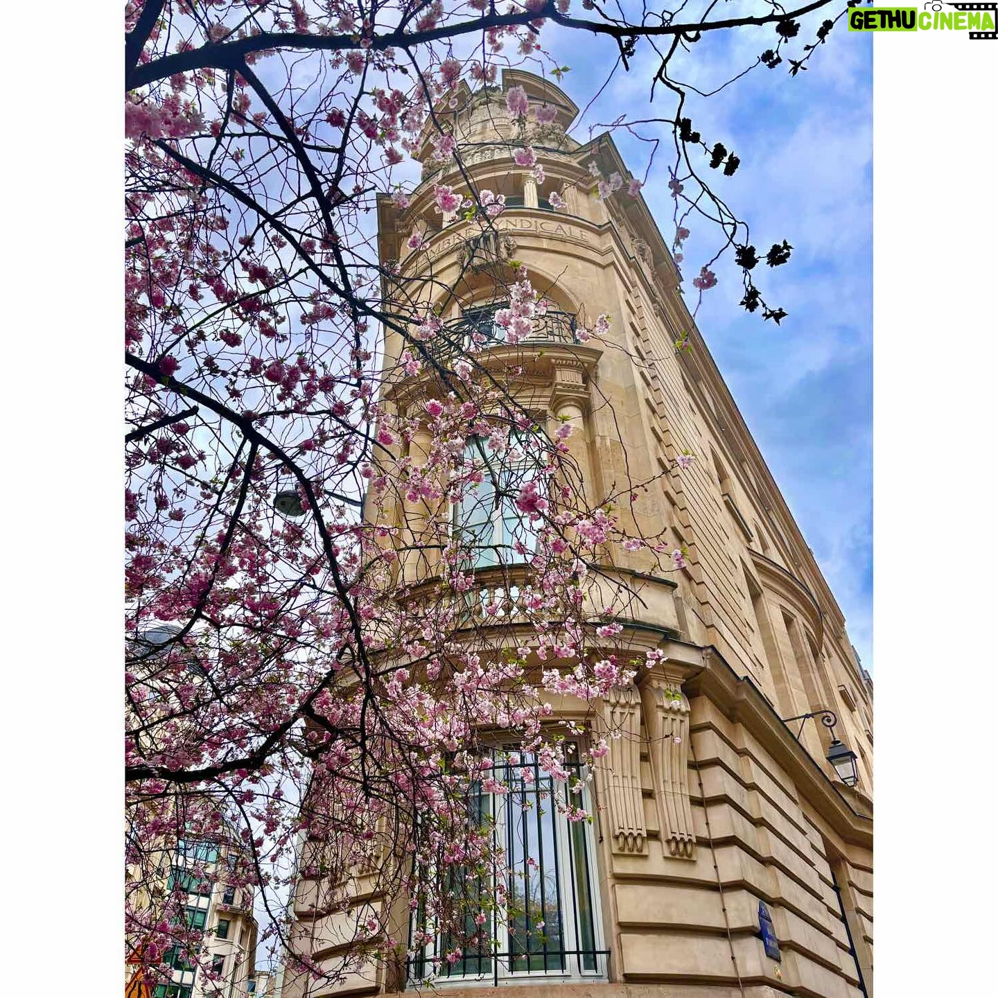 Ingrid St-Pierre - 399 Likes - Un carrousel très doux… parce que nécessaire.
🌸🎈🩷 #paris #printemps