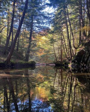 Ingrid St-Pierre Instagram - L’automne doux 💓