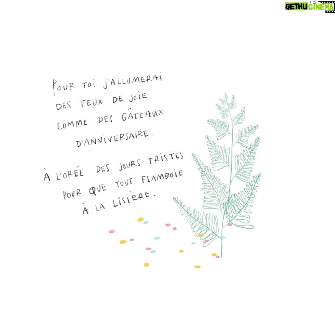 Ingrid St-Pierre - 387 Likes - @petiteplage.tattoo merci de dessiner mes mots 🤍 demain je vous dépose ici l’Onoclée, la nouvelle chanson en forme de fougère des bois. 🌿