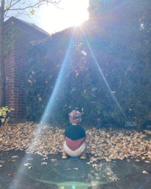 Ingrid St-Pierre Instagram - Namiko les halos ✨🧚🏻‍♀️