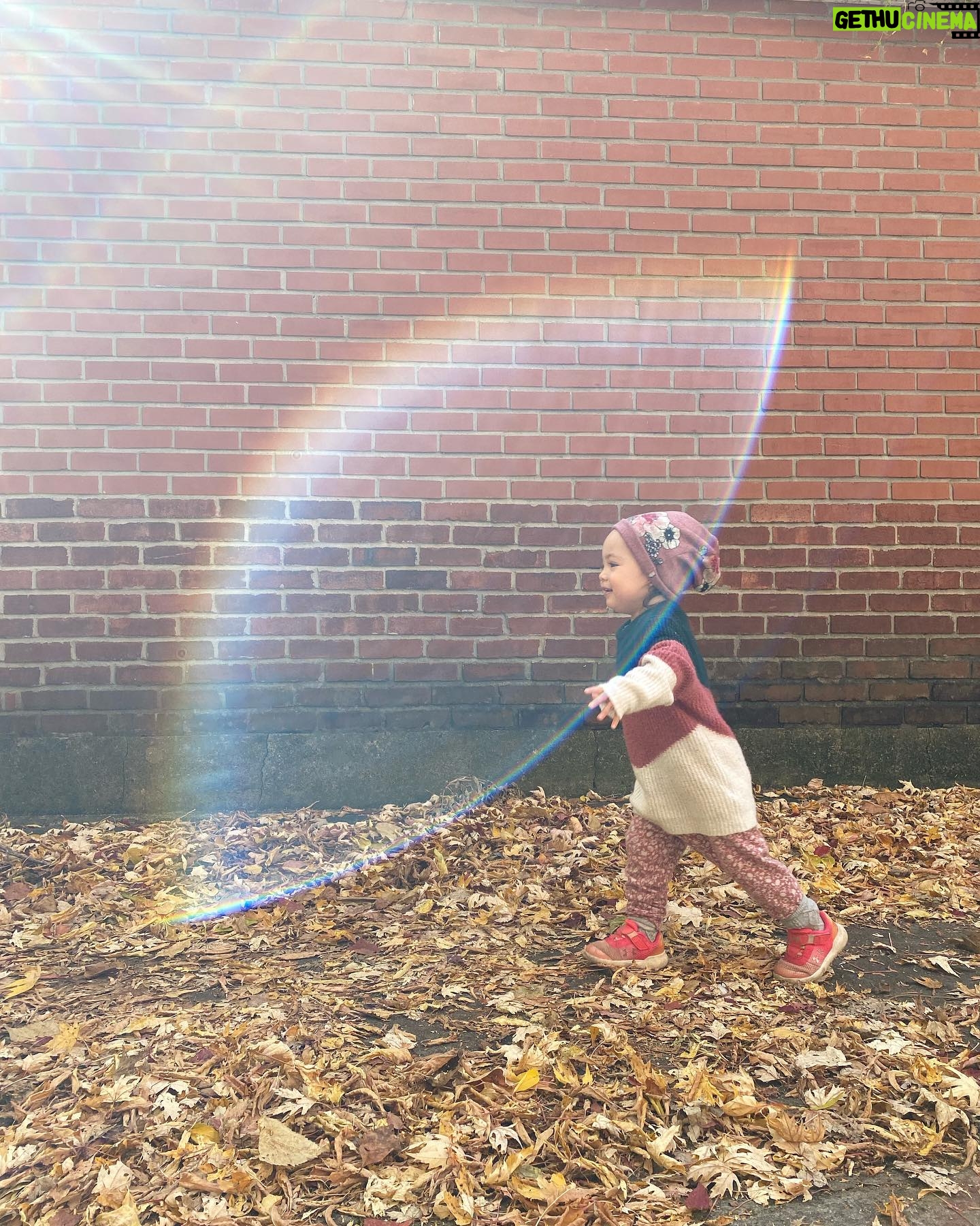 Ingrid St-Pierre - 451 Likes - Namiko les halos ✨🧚🏻♀️