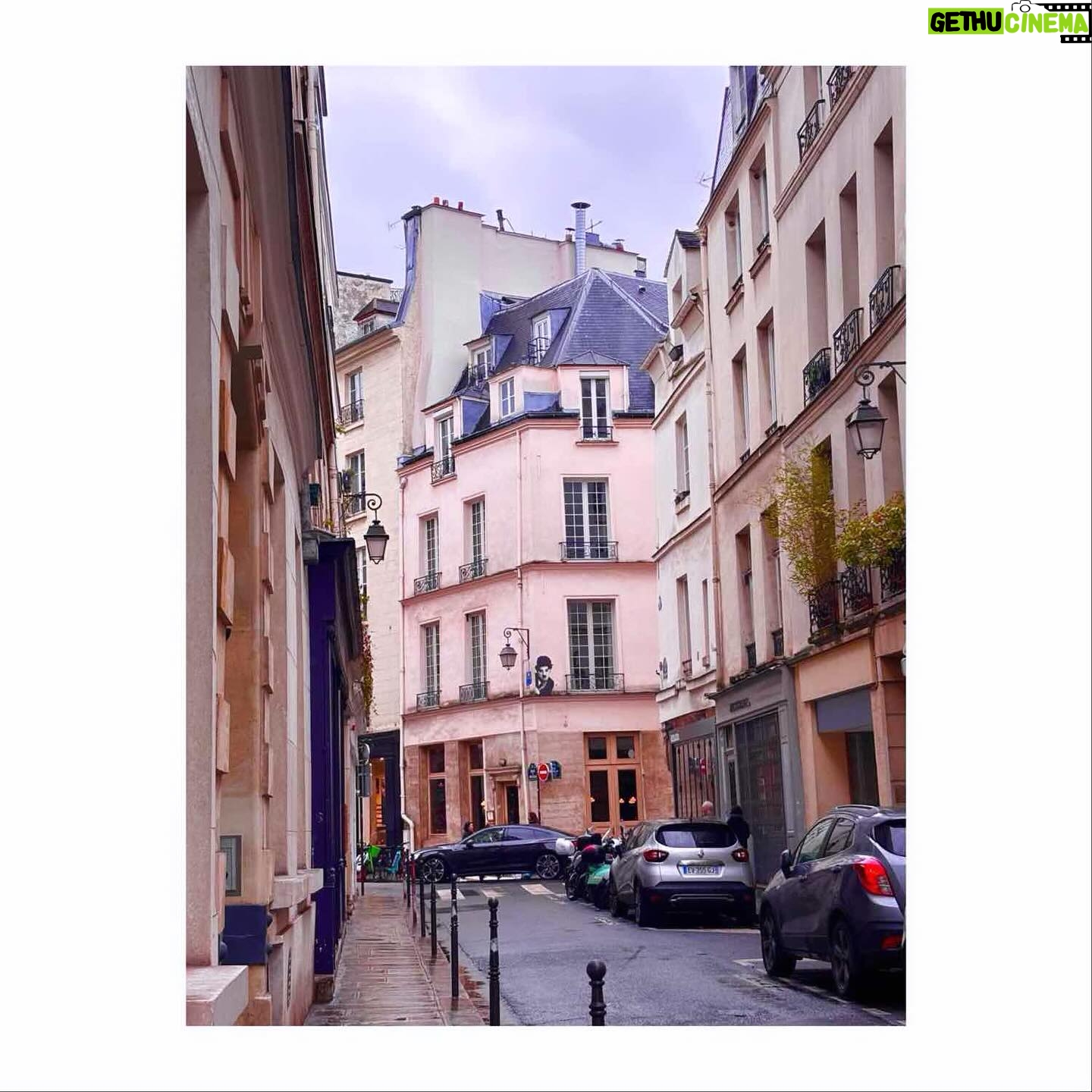 Ingrid St-Pierre - 309 Likes - Printemps hâtif. 🌸
🌸
#paris #douxparis