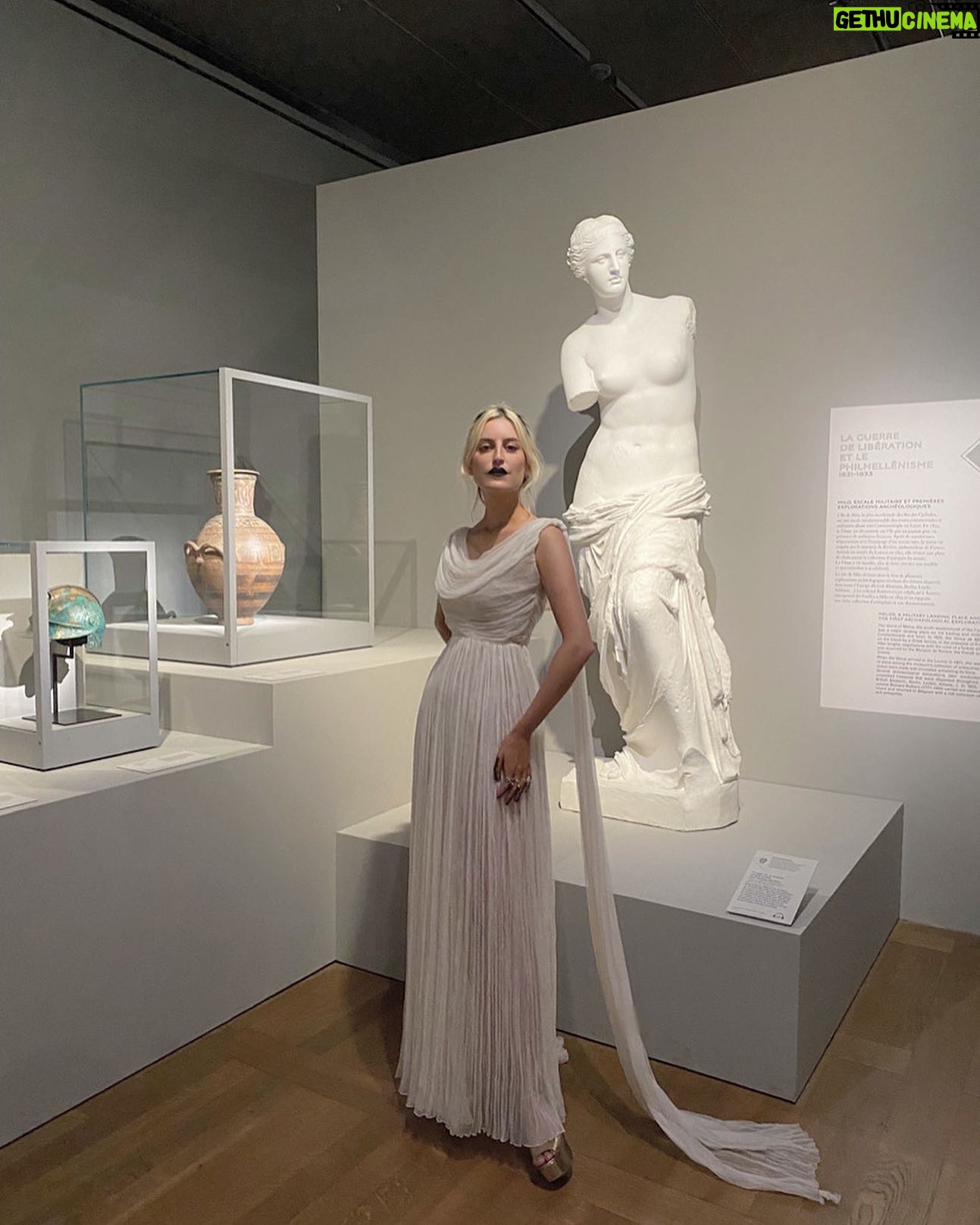 Ioanna Gika - 3.6K Likes - Thank you to the Louvre and the Greek Ambassador, Her Excellency Madame Aghi Balta for inviting me to the opening of the new exhibit, ‘Paris-Athens, The Birth of Modern Greece.’ Congratulations to the new president of @museelouvre , Laurence Des Cars, the first female president of the institution in 228 years. This year marks the 200th anniversary of the beginning of the Greek Revolution, and the anniversary of the arrival of the Venus de Milo. An occasion celebrated reverentially. Thank you @dior for the gown, @alineds75 for putting it all together with the best eye, @benjamin_maquilleur pour le maquillage 📷📷 @dafni.arvaniti and @sneakyaliki 💙 @aghibalta