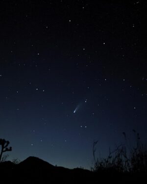 Ioanna Gika Instagram - I took this photo of Comet Neowise. Days of looking where sites and apps directed: nothing. Then the faintest tail. (City lights? Halo from contact lenses?) Neowise was ephemeral, but I learned that once I stopped relying on apps to direct me, and let my eyes adjust to the night sky, I was able to spot the unmistakable shimmer of a cosmic brushstroke. As Neowise grew in luminosity, becoming bolder as the sun pulled the curtain of the night, the comet pointed its silvery finger to our planet almost as if to say, ‘Earth, you see me, but make no mistake: in a blaze, I am watching you.’ 20 minutes and it was gone.