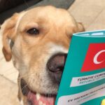 İpek Çiçek