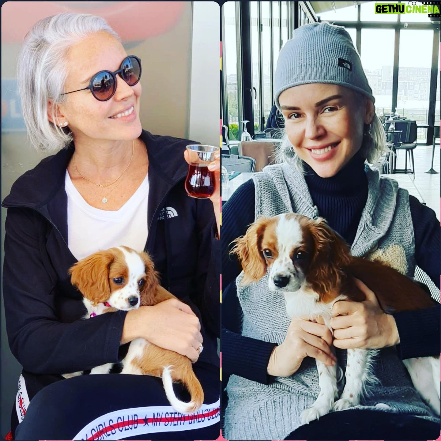 İpek Tanrıyar - 1.2K Likes - Şila büyüyor,3 ayda kocaman oldu pıtırcık🥰 #dog #baby #kingcharles #şila #defne #kahvaltı #love