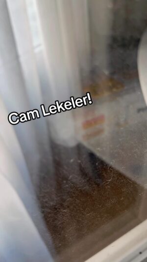 İrem Sak Instagram - 2 gün temizlik yapmayınca ev #lekelerğ
