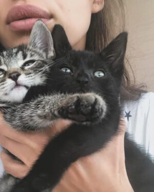 Irina Shayk Instagram - Watch out for KITTY CATSSS 🐈‍⬛🐈‍⬛