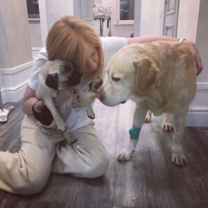 Irina Tolmatskaya Instagram - Когда у вас кто-то болен не отчаивайтесь, скажите как вы любите его ( её) очень, очень, что все будет хорошо, боль пройдет и верить , что эта боль обязательно пройдет,главное верить!!!"С любимыми не расставайтесь!Всей кровью прорастайте в них,- И каждый раз навек прощайтесь!Когда уходиде на миг!"#добройночи #обнимитеськрепче #всебудетхорошо главное ВЕРИТЬ!!!Р.s  собаки@lusya__rozhneva