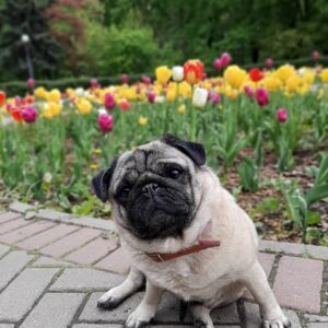 Irina Tolmatskaya Instagram - "Кто-то мне говорил - не помню уже, кто это был,-как все-таки удивительно,что,проснувшись рано утром,обнаруживаешь:все, по крайней мере главное, находится на том же месте,где было накануне вечером." Ф.Кафка #деньначинаетсяизаканчивается#будтездоровы #мир❤🌏