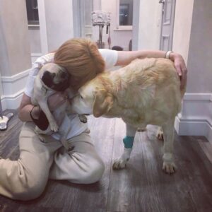 Irina Tolmatskaya Instagram - Когда у вас кто-то болен не отчаивайтесь, скажите как вы любите его ( её) очень, очень, что все будет хорошо, боль пройдет и верить , что эта боль обязательно пройдет,главное верить!!!"С любимыми не расставайтесь!Всей кровью прорастайте в них,- И каждый раз навек прощайтесь!Когда уходиде на миг!"#добройночи #обнимитеськрепче #всебудетхорошо главное ВЕРИТЬ!!!Р.s  собаки@lusya__rozhneva