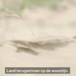 Iris de Graaf