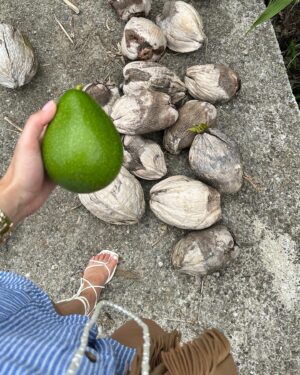 Iris de Graaf Instagram - Dankbaar voor rust, zon, strand, water, natuur, telefoon uit, nieuws even ver weg, reflectie, tijd, stilstaan -  en voor dit eiland dat al zeven jaar als thuiskomen voelt. Klein fotodumpje 🦦📖💦🏝️🥑🥥🙏💖