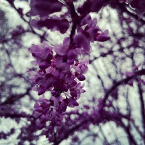 Isaac Hanson Instagram - Just another rainy day in #tulsa