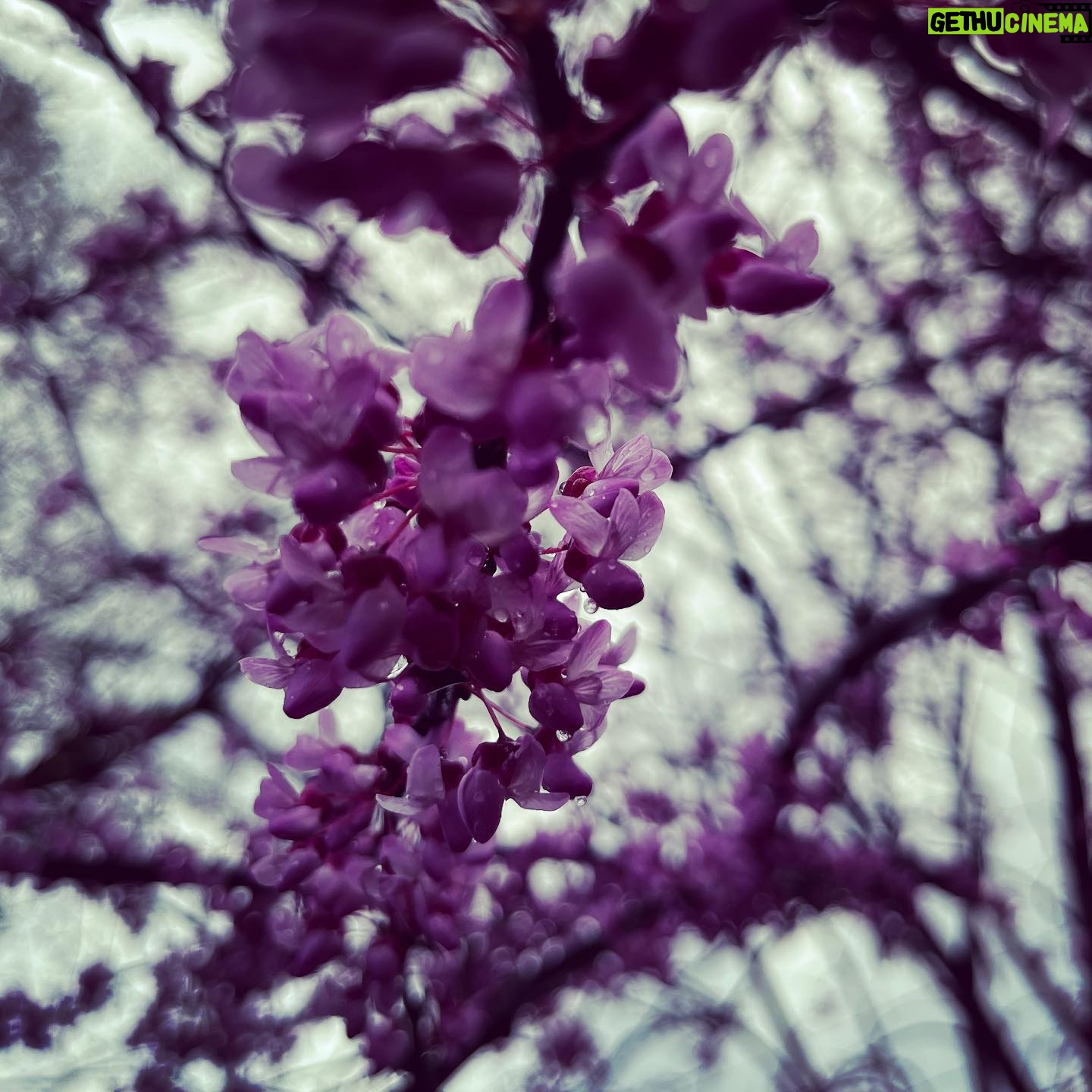 Isaac Hanson - 2.3K Likes - Just another rainy day in #tulsa