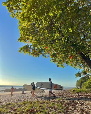 Isabelle Labrecque Instagram - 1/2 the trip 

mes trucs pref du Costa Rica à date: les couleurs, le soleil, les casados, les fleurs, l’odeur et les bruits d’animaux