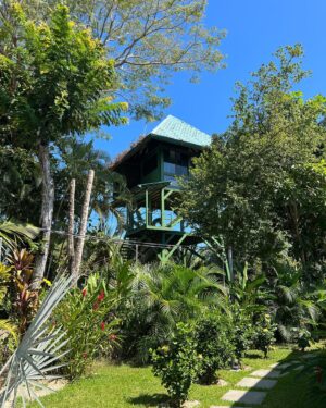 Isabelle Labrecque Instagram - 1/2 the trip 

mes trucs pref du Costa Rica à date: les couleurs, le soleil, les casados, les fleurs, l’odeur et les bruits d’animaux