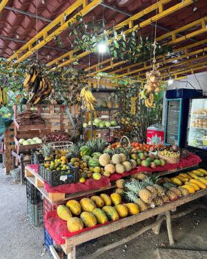 Isabelle Labrecque Instagram - 1/2 the trip 

mes trucs pref du Costa Rica à date: les couleurs, le soleil, les casados, les fleurs, l’odeur et les bruits d’animaux