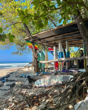 Isabelle Labrecque Instagram - 1/2 the trip 

mes trucs pref du Costa Rica à date: les couleurs, le soleil, les casados, les fleurs, l’odeur et les bruits d’animaux