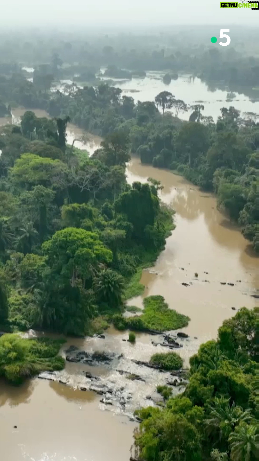 Ismaël Khelifa - 1.7K Likes - Canoe au milieu des #hippopotames pour @so_jovillard dans ces Echappées Belles inédites en ##cotedivoire🇨🇮 . Rendez-vous demain soir à 21h sur France 5.
Pour (re)voir ces #EchappéesBelles sur @france.tv ➡️ bit.ly/EchappeesBellesReplay
@bo_travail @fkpoirier Theo Clamart @maximesouville Charlotte Fleury