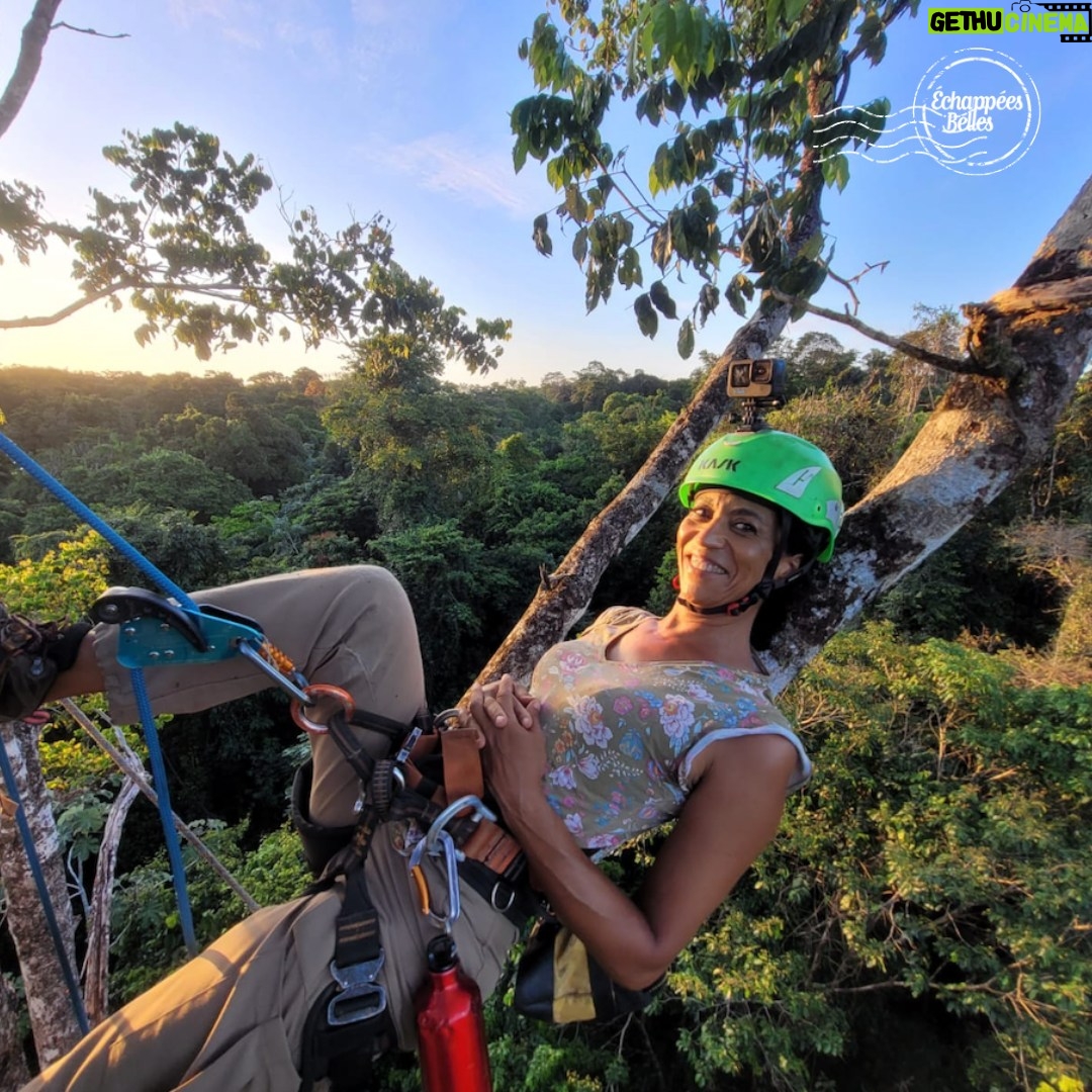 Ismaël Khelifa - 1.6K Likes - Merci d'avoir été si nombreux à regarder ces Echappées Belles inédites en #Guyane avec @S@sabinequindou hier soir sur @france5
Pour revoir l'émission #EchappéesBelles, c'est sur @france.tv ➡ bit.ly/EchappeesBellesReplay
Bravo aux équipes : @bo_travail @fkpoirier @yvesslebaccon @charlotte fleu fleu
Voici nos bons plans :
Obtenir toutes les informations nécessaires à votre voyage en Guyane :
https://guyane-amazonie.fr/
@guyane_tourisme
#guyanetourisme #guyaneamazonie
Se rendre à l’Îlet la Mère :
Tropic Alizés - www.tropicalizes.fr
@tropicalizesguyane
Voler en ULM hydravion :
Les ailes hydro de Montsinery - https://les-ailes-hydro-de-montsinery.com/
Repas cuisiné par un Chef à domicile :
Theïvan LUCE - @cheftluce
Acheter des poupées guyanaises :
Oya Showroom - https://www.oyashowroom.com/
@oyashowroom
Dormir et manger à Saül :
Gîte A ke nou - https://www.gite-restaurantakenou-saul.com/
Acheter du cacao et découvrir la plantation à Saül :
Cacao coeur de Saül
Acheter des huiles essentielles de bois de rose et visiter la plantation à Sinnamary :
Bois de rose de Guyane - http://www.boisderosedeguyane.com/fr/
Faire du kayak :
Baakaboto - https://baakaboto.fr/
@baakaboto
Visiter le Maroni en pirogue :
Chuity liba : https://www.facebook.com/profile.php?id=100067173337684
Dormir et manger sur le Mahury :
Auberge du Mahury : https://www.mahury.fr/
Chasser à l’arc :
ASCAG : Association sportive des chasseurs à l'arc de Guyane
Acheter des produits nutrition / beauté :
Bio Stratège : https://biostratege.com/nos-produits/
Manger une glace à Cacao :
Cacao givré : Cacao givré
Acheter du chocolat à Saint-Laurent du Maroni :
Theobroma : Theobroma CACAO De Guyane
Dormir chez l’habitant dans un village amérindien :
Voyag’en Harmonie : Voyag'en Harmonie
