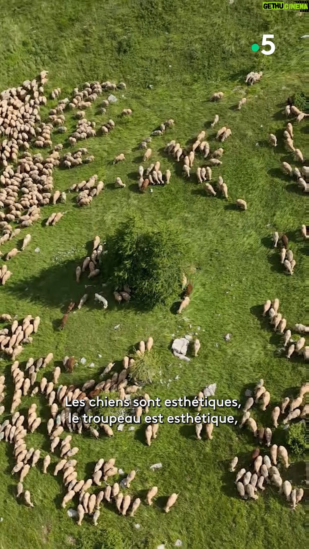 Ismaël Khelifa - 1.3K Likes - Départ pour la vallée de l'#Ubaye avec Ismaël Khelifa pour des Echappées Belles inédites. Rendez-vous samedi à 21h sur France 5 pour découvrir ces magnifiques paysages.
Pour revoir l'émission #EchappéesBelles, c'est sur @france.tv ➡ bit.ly/EchappeesBellesReplay
@bo_travail @dpourageaux @mcfourn @sven.etcheverry @bk2futyb @s_g_prod