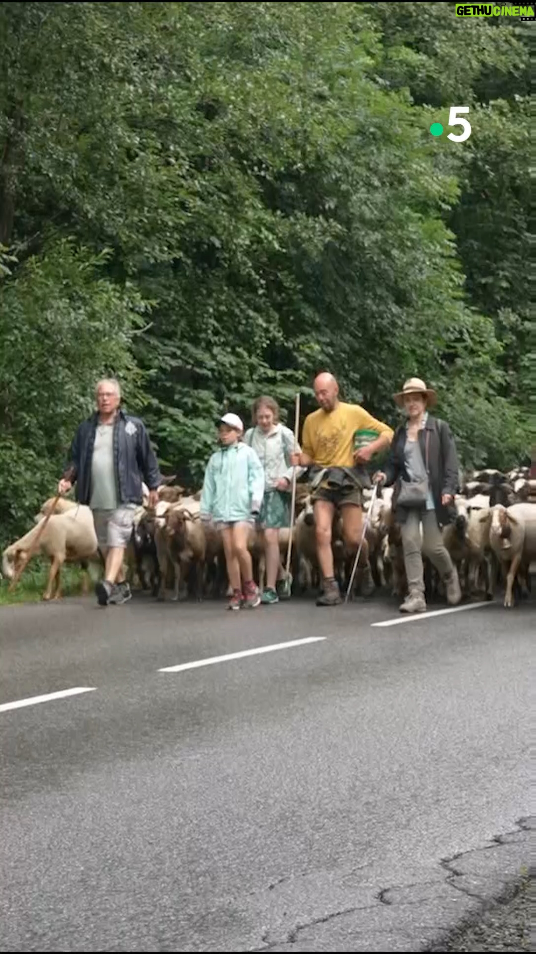 Ismaël Khelifa - 2K Likes - C'est en week-end à Chamonix que @so_jovillard nous emmène en transhumance vers les hauts sommets ! Rendez-vous samedi soir à 21h pour des Echappées Belles #inédites sur @france5
Retrouvez #EchappéesBelles sur @france.tv ➡ http://bit.ly/EchappeesBellesReplay
@bo_travail @lorisquinto @thibrossi @cookgregjames @annahanslik #Regiscroizer @maximesouville #davidbensaid