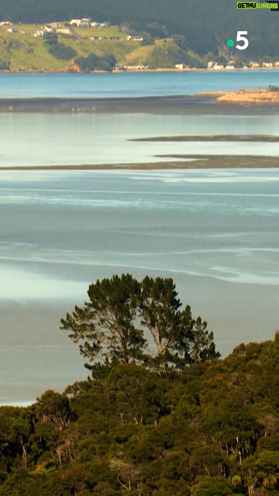 Ismaël Khelifa - 2.2K Likes - Pause ressourçante au milieu des montagnes dans ces Echappées Belles inédites en #NouvelleZélande avec @ismaelkhelifa . Rendez-vous samedi soir à 21h sur @France5
Pour revoir l'émission #EchappéesBelles, c'est sur @france.tv ➡ bit.ly/EchappeesBellesReplay
@bo_travail @vincent.chaffard @Jérémi Nureni @cecile.foucher @jegoodstone @Noëmie Beillon