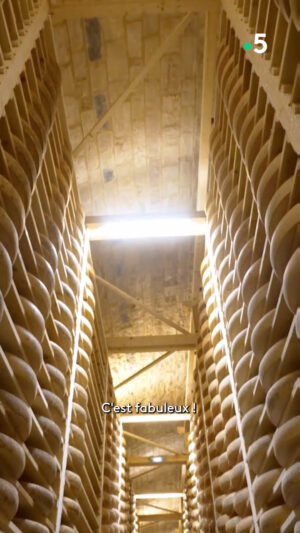 Ismaël Khelifa Instagram - Cave de 180 000 #comtés... dégustation pour @jeromepitorinoff dans ces Echappées Belles inédites au #Jura.  Rendez-vous samedi à 21h sur France 5.

Pour (re)voir ces #EchappéesBelles sur @france.tv ➡️ bit.ly/EchappeesBellesReplay

@bo_travail  @jycauchard  Noëmie Beillon  @cookgregjames  @myaurel76  Julien Sterle