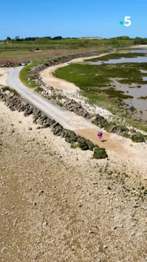 Ismaël Khelifa Instagram - L'île Madame en Charente. Cette semaine, @jeromepitorinoff va sillonner les routes des Charentes en van dans des Echappées Belles inédites. Diffusion samedi soir à 21h sur France 5.

Pour revoir l'émission #EchappéesBelles, c'est sur @france.tv ➡ bit.ly/EchappeesBellesReplay

@bo_travail  @lorisquinto @QuentinFrichitthavong @yannmanier  @jeremi.nb  @anne.duchene_ 

#charentes ##îlemadame