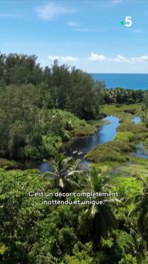 Ismaël Khelifa Instagram - @jeromepitorinoff nous emmène cette semaine aux #seychelles🌴 pour des Echappées Belles inédites. Rendez-vous samedi soir à 21h sur France 5.

Pour (re)voir ces #EchappéesBelles sur @france.tv ➡️ bit.ly/EchappeesBellesReplay

@bo_travail  @vincent.chaffard  @insta.lem  @micheladamik  @clairedebuyser  Agnes Vanhems