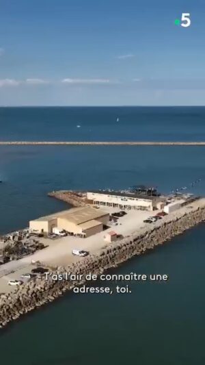 Ismaël Khelifa Instagram - Les chalets de #Gruissan... balade à #vélo gourmande pour @jeromepitorinoff  dans ses Echappées Belles en #weekend à #Narbonne. Rendez-vous demain soir à 21h sur @France5 pour découvrir cette région.

Pour revoir l'émission #EchappéesBelles, c'est sur @france.tv ➡ bit.ly/EchappeesBellesReplay

@bo_travail  @dpourageaux  @camilledebrev  #hyacinthelapin @lorisquinto
 @mcfourn  #agnesvanhems