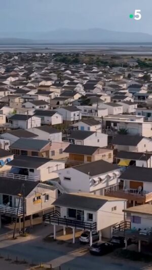 Ismaël Khelifa Instagram - Les chalets de #Gruissan... balade à #vélo gourmande pour @jeromepitorinoff dans ses Echappées Belles en #weekend à #Narbonne. Rendez-vous demain soir à 21h sur @France5 pour découvrir cette région.

Pour revoir l'émission #EchappéesBelles, c'est sur @france.tv ➡ bit.ly/EchappeesBellesReplay

@bo_travail @dpourageaux @camilledebrev #hyacinthelapin @lorisquinto @mcfourn #agnesvanhems