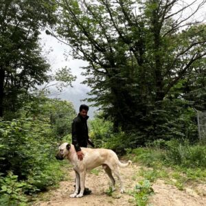 İsmail Hacıoğlu Instagram - Küreği olan gelsin... Biz beklerizz🤘