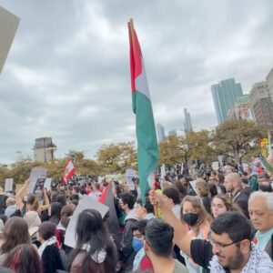 Ismail Taher Instagram - I’m sorry I haven’t been bringing you the content that you enjoy but I want to talk about this.  A sea of people gathered today and they were all there for one reason, Humanity. Innocent people are dying and it’s time for us, the people, to speak up. It’s time to Recognize the people of Gaza and all of the innocent people that are dying. It’s time to Recognize the innocent children that are being attacked and killed. But most importantly, It’s  time to Pray for peace and better days. I urge you to speak up in anyway you can. No child deserves to go through this. I love you all and wish you nothing but peace, love, and happiness in your life. Chicago, over 25k today, good job