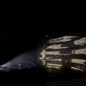 Israel Fernández Instagram - Poder presentar #PuraSangre en el @teatro_real fue un sueño que nunca pensé que pudiera darse. Gracias siempre #MADRID