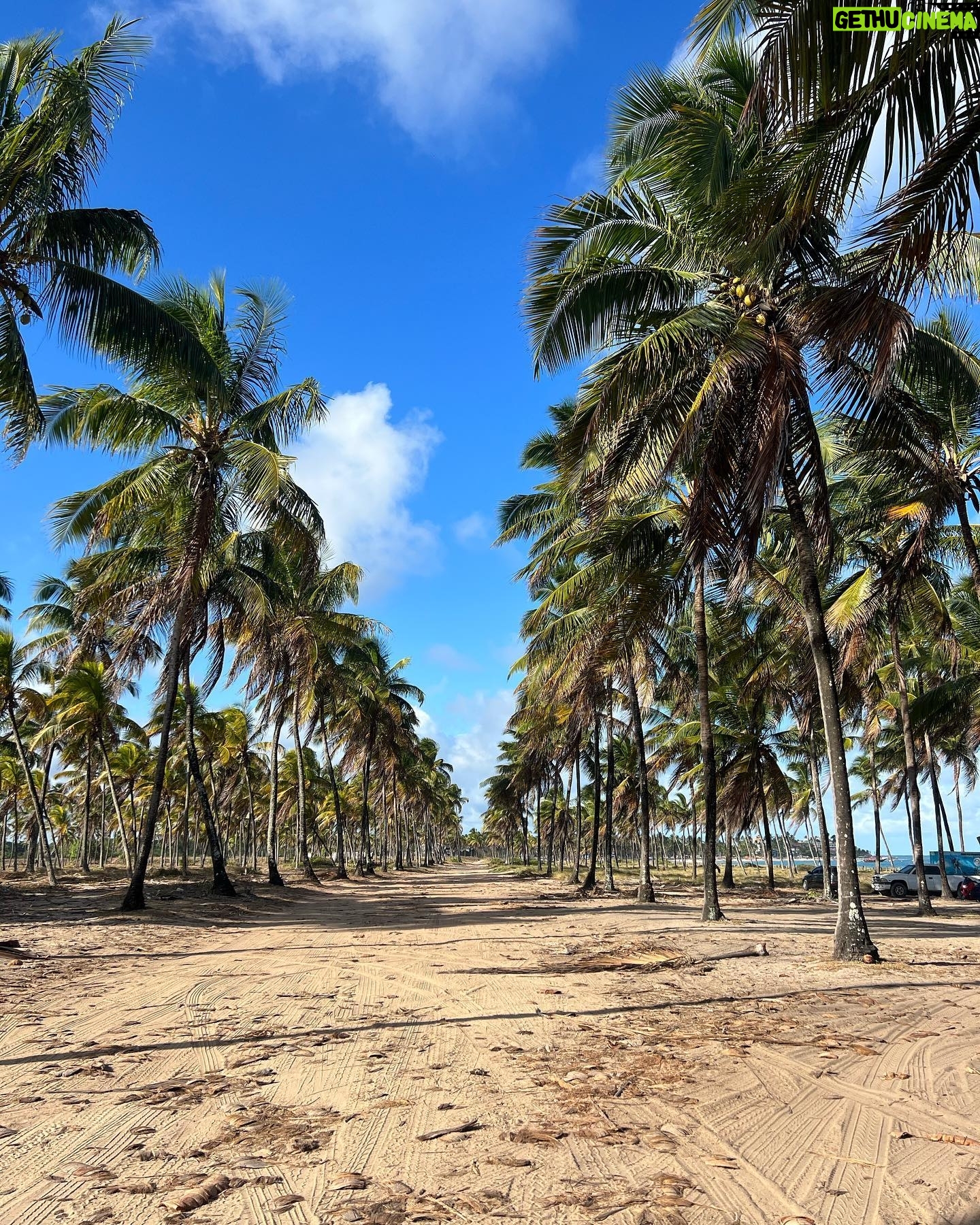 Italo Lopes - 2.1K Likes - Pernambuco Vibes 🌴✈️
.
.
.
#explore #travel #viagem #trip #man #lifestyle