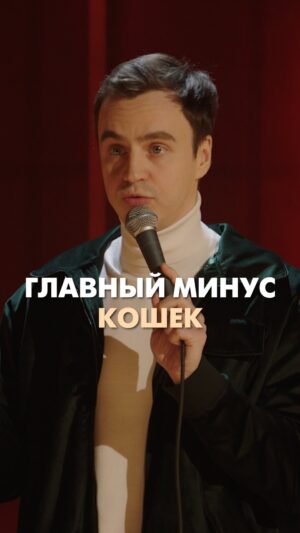 Ivan Abramov Instagram - Главный минус кошек #иванабрамов #стендап #тнт @tnt_online @standup_tnt 

#юмор #прикол #смешно #кошки #детипопросили #отецтряпка #весеннееобострение