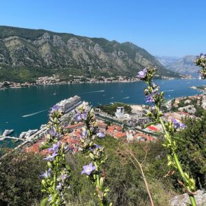 Iván Sánchez Instagram - #Montenegro 🇲🇪
#Kotor #Budva 

Nuestra ruta por la costa y sur de los Balcanes sigue…💙🌎 #vacaciones #holiday #familia