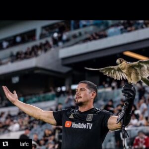 J. D. Pardo Instagram - Ready to soar 🙏🏽 Thank you @lafc and @lafcfalconer for a great moment! Thank you to the fans for your love and support of Mayans MC. I hope you all are having a great day. Here’s a little jam to help you out this morning. This is my mood for the rest of this year... First in Flight by @officialblackalicious #mayansmc #lafc #apexpredator #free