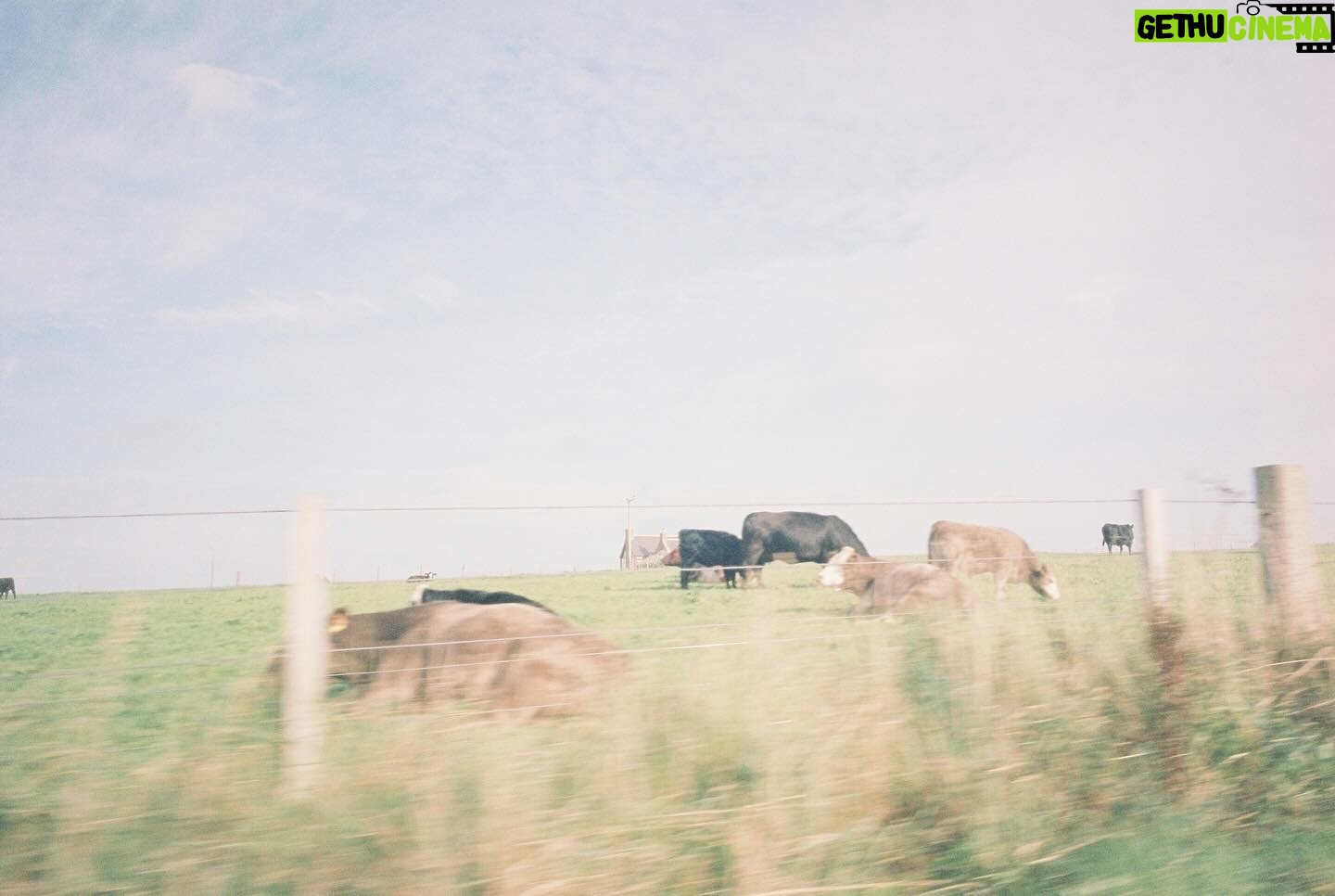 Jack Lowden - 5K Likes - THE OUTRUN is heading to Sundance next week, so here’s some shots from one of our first recces to Papay. Beautiful place, beautiful people. Shots taken on a Ricoh GR IV @sundanceorg 🏴📽️