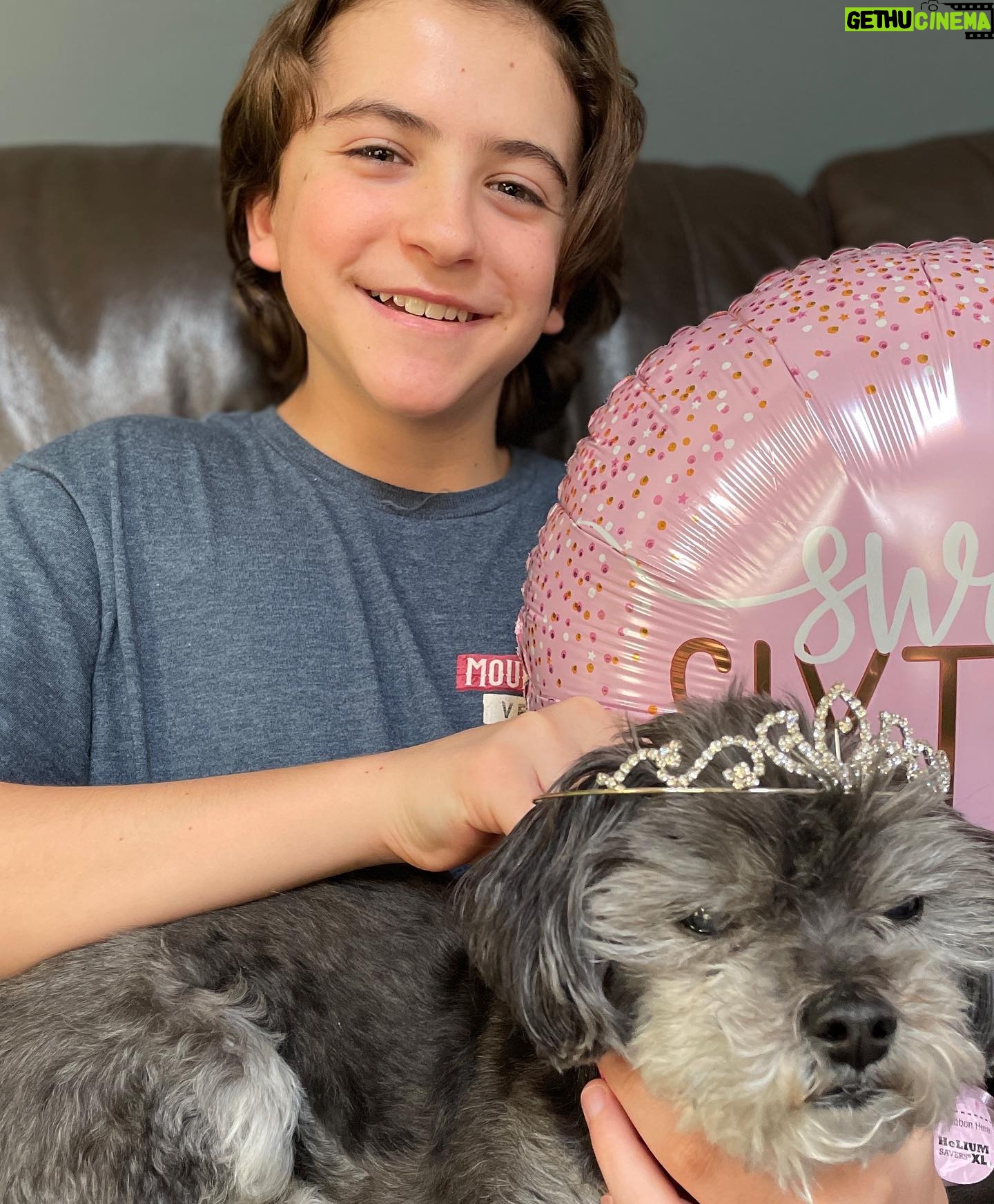 Jack Messina - 8.1K Likes - Happy birthday Cookie on #nationalpetday 🐾#sweet16 #bigsister 🎂