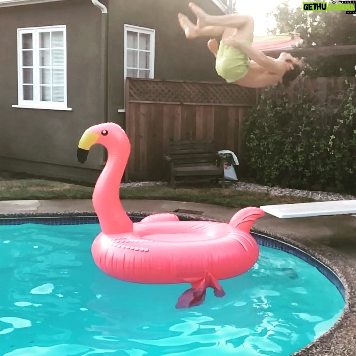 Jack Perry - 9.5K Likes - One winged flamingo.
#gainer