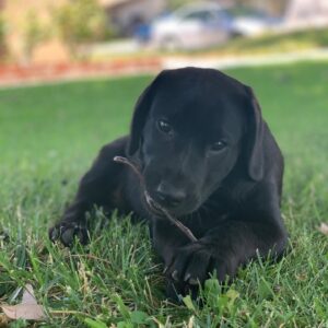 Jackson Brundage Instagram - Blurry cause the little man wouldn’t stay still but I’d like you all to meet my son! Cash Brundage🥰☺️