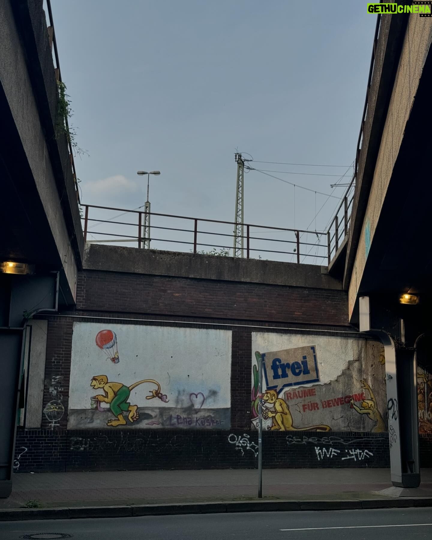 Jackson Rathbone - 24.9K Likes - Five hour walkabout today in Dusseldorf
Love taking in this beautiful city.
Excited to meet all yall tomorrow !!!