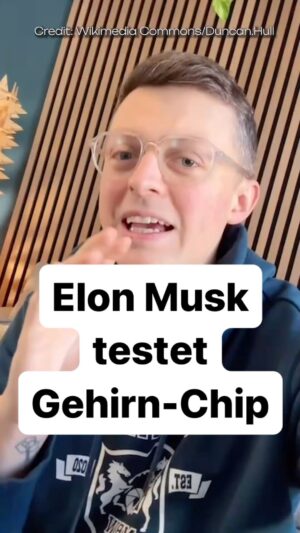 Jacob Beautemps Instagram - Elon Musk setzt ersten Gehirnchip beim Menschen ein. Würdet ihr euch so einen einsetzen lassen? #Neuralink #Forschung 🧠